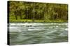The Quinault River Flows by the Vivid Green Rain Forests of the Olympic National Park in Washington-Ben Herndon-Stretched Canvas