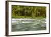 The Quinault River Flows by the Vivid Green Rain Forests of the Olympic National Park in Washington-Ben Herndon-Framed Photographic Print