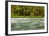 The Quinault River Flows by the Vivid Green Rain Forests of the Olympic National Park in Washington-Ben Herndon-Framed Photographic Print