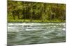 The Quinault River Flows by the Vivid Green Rain Forests of the Olympic National Park in Washington-Ben Herndon-Mounted Photographic Print