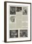 The Quincentenary of Winchester College-null-Framed Giclee Print