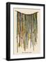 The Quipu Used by the Ancient Peruvians to Record Events Keep Accounts &C-null-Framed Photographic Print