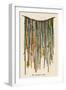 The Quipu Used by the Ancient Peruvians to Record Events Keep Accounts &C-null-Framed Photographic Print