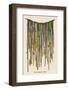The Quipu Used by the Ancient Peruvians to Record Events Keep Accounts &C-null-Framed Photographic Print