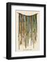 The Quipu Used by the Ancient Peruvians to Record Events Keep Accounts &C-null-Framed Photographic Print