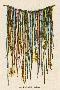 'The Quipu Used by the Ancient Peruvians to Record Events Keep Accounts ...