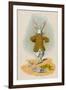 The Rabbit Running Away, 1930-John Tenniel-Framed Giclee Print