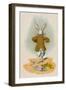 The Rabbit Running Away, 1930-John Tenniel-Framed Giclee Print