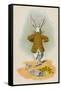 The Rabbit Running Away, 1930-John Tenniel-Framed Stretched Canvas