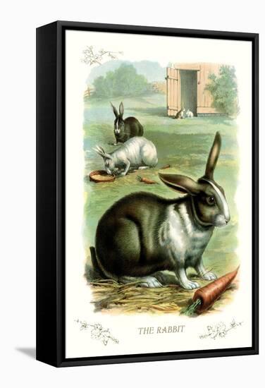 The Rabbit-null-Framed Stretched Canvas