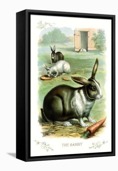 The Rabbit-null-Framed Stretched Canvas