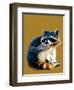 The Raccoon on Golden Yellow, 2020, (Pen and Ink)-Mike Davis-Framed Giclee Print