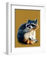 The Raccoon on Golden Yellow, 2020, (Pen and Ink)-Mike Davis-Framed Giclee Print