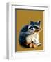 The Raccoon on Golden Yellow, 2020, (Pen and Ink)-Mike Davis-Framed Giclee Print