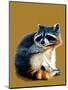 The Raccoon on Golden Yellow, 2020, (Pen and Ink)-Mike Davis-Mounted Giclee Print