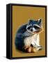 The Raccoon on Golden Yellow, 2020, (Pen and Ink)-Mike Davis-Framed Stretched Canvas