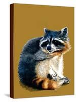 The Raccoon on Golden Yellow, 2020, (Pen and Ink)-Mike Davis-Stretched Canvas