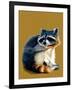 The Raccoon on Golden Yellow, 2020, (Pen and Ink)-Mike Davis-Framed Giclee Print