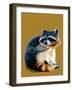 The Raccoon on Golden Yellow, 2020, (Pen and Ink)-Mike Davis-Framed Giclee Print