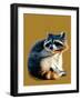 The Raccoon on Golden Yellow, 2020, (Pen and Ink)-Mike Davis-Framed Giclee Print