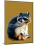 The Raccoon on Golden Yellow, 2020, (Pen and Ink)-Mike Davis-Mounted Giclee Print