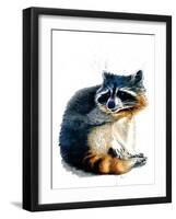 The Raccoon on White, 2020, (Pen and Ink)-Mike Davis-Framed Giclee Print