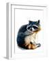 The Raccoon on White, 2020, (Pen and Ink)-Mike Davis-Framed Giclee Print
