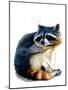 The Raccoon on White, 2020, (Pen and Ink)-Mike Davis-Mounted Giclee Print