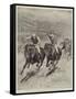 The Race for the St Leger, Defeat of Lord Rosebery's Colt Ladas by Lord Alington's Filly Throstle-Stanley Berkeley-Framed Stretched Canvas