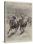 The Race for the St Leger, Defeat of Lord Rosebery's Colt Ladas by Lord Alington's Filly Throstle-Stanley Berkeley-Stretched Canvas