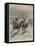 The Race for the St Leger, Defeat of Lord Rosebery's Colt Ladas by Lord Alington's Filly Throstle-Stanley Berkeley-Framed Stretched Canvas