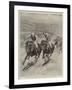 The Race for the St Leger, Defeat of Lord Rosebery's Colt Ladas by Lord Alington's Filly Throstle-Stanley Berkeley-Framed Giclee Print