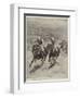 The Race for the St Leger, Defeat of Lord Rosebery's Colt Ladas by Lord Alington's Filly Throstle-Stanley Berkeley-Framed Giclee Print