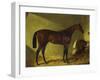 The Race Horse 'Merry Monarch' in a Stall-John Frederick Herring I-Framed Giclee Print