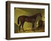 The Race Horse 'Merry Monarch' in a Stall-John Frederick Herring I-Framed Premium Giclee Print