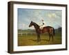 The Racehorse, 'Northeast' with Jockey Up-Emil Adam-Framed Giclee Print