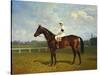 The Racehorse, 'Northeast' with Jockey Up-Emil Adam-Stretched Canvas