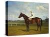 The Racehorse, 'Northeast' with Jockey Up-Emil Adam-Stretched Canvas