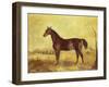 The Racehorse 'Tranby' in a River Landscape-Edward Troye-Framed Giclee Print