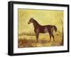 The Racehorse 'Tranby' in a River Landscape-Edward Troye-Framed Giclee Print