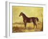 The Racehorse 'Tranby' in a River Landscape-Edward Troye-Framed Giclee Print