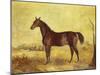 The Racehorse 'Tranby' in a River Landscape-Edward Troye-Mounted Giclee Print
