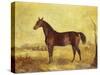 The Racehorse 'Tranby' in a River Landscape-Edward Troye-Stretched Canvas