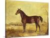 The Racehorse 'Tranby' in a River Landscape-Edward Troye-Stretched Canvas