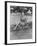 The Racers, Bella Darvi, 1955-null-Framed Photo
