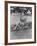 The Racers, Bella Darvi, 1955-null-Framed Photo