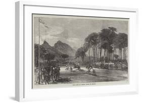 The Races at Cannes, South of France-null-Framed Giclee Print