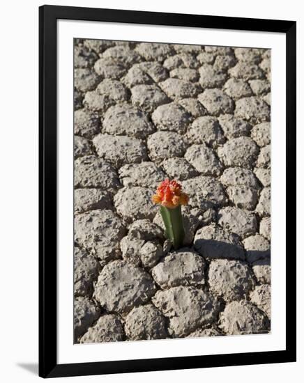 The Racetrack Point, Death Valley National Park, California, USA-Angelo Cavalli-Framed Photographic Print