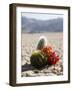 The Racetrack Point, Death Valley National Park, California, USA-Angelo Cavalli-Framed Photographic Print