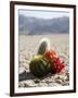 The Racetrack Point, Death Valley National Park, California, USA-Angelo Cavalli-Framed Photographic Print